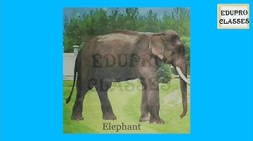 Class 1and 2, EVS, Types of Animal,rbse class 2, Evs for class 2, environment, cbse class 2