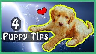 THUNDERSTORM TRAINING (&amp; Other Tips/Pointers for NEW PUPPY Owners)