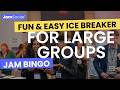 Networking Game for Large Groups