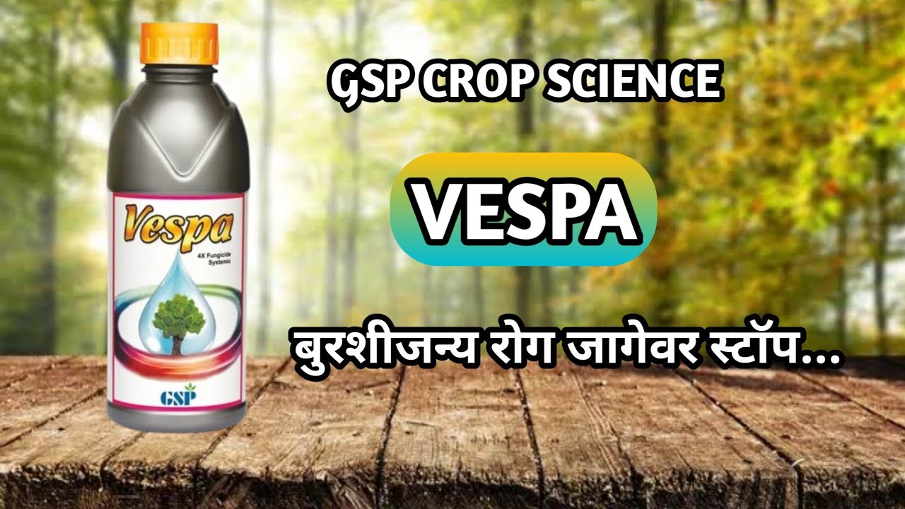 Vespa fungicide | Gsp vespa fungicide | Best fungicide for plants 