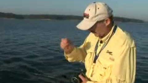 Trolling Tips for Striped Bass - Captain Mack Farr
