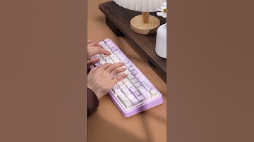 [ CIDOO Nebula ] Kitty