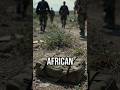 WWI's Hidden Front: The African Campaigns Revealed