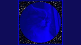 Understated Son Montuno Trumpet - Vibe for Cats Jukebox