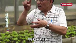 台灣七成土壤成酸性　鹼性肥料成解方【科學再發現】