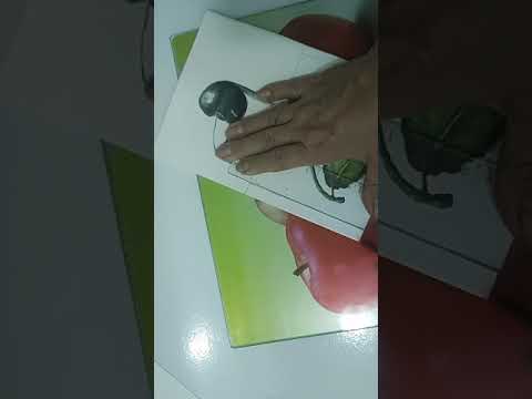 Paspatur / Past