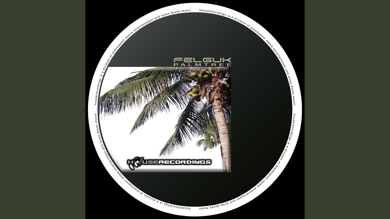 Palmtree (Electrixx Remix) auf YouTube ansehen Palmtree (Electrixx Remix) auf YouTube ansehen