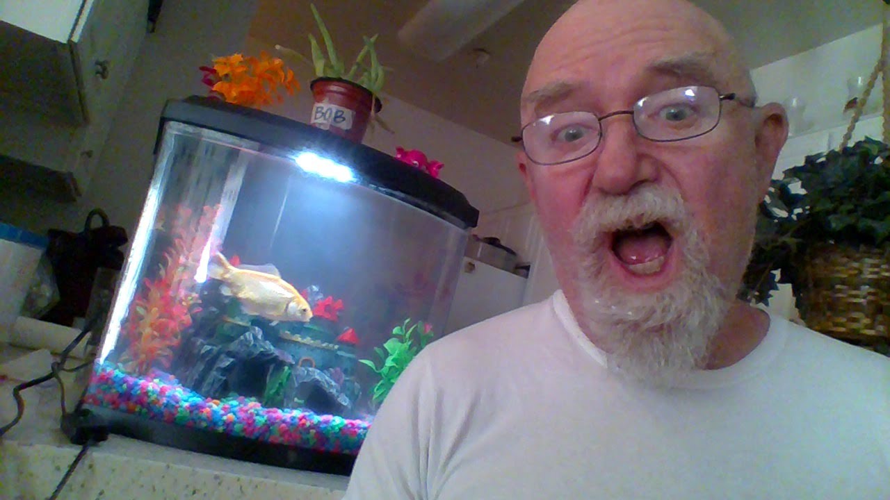 Camo Dave On The Road SaturDAVE