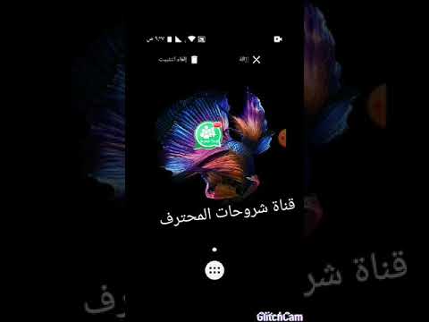 برنامج يعطيك ارقم بنات وتساب برنامج يعطيك ارقم بنات وتساب