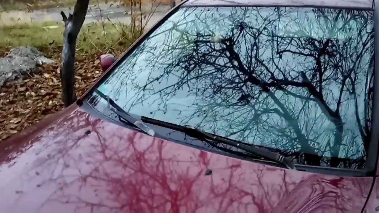 Как работают дворники с отремонтированной трапецией - YouTube