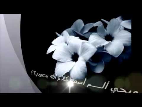 متي يا ابن آدم تستحي
