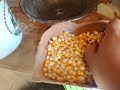 Im Taubenschlag 35