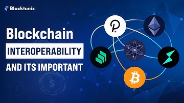 Blockchain Interoperability Explained - Must-Know Terms for Crypto Success
