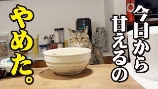 飼い主に迷惑はかけまいと男気を見せる猫!