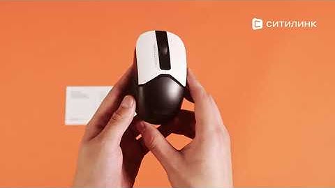 Обзор Мыши A4TECH Fstyler FB12 | Ситилинк