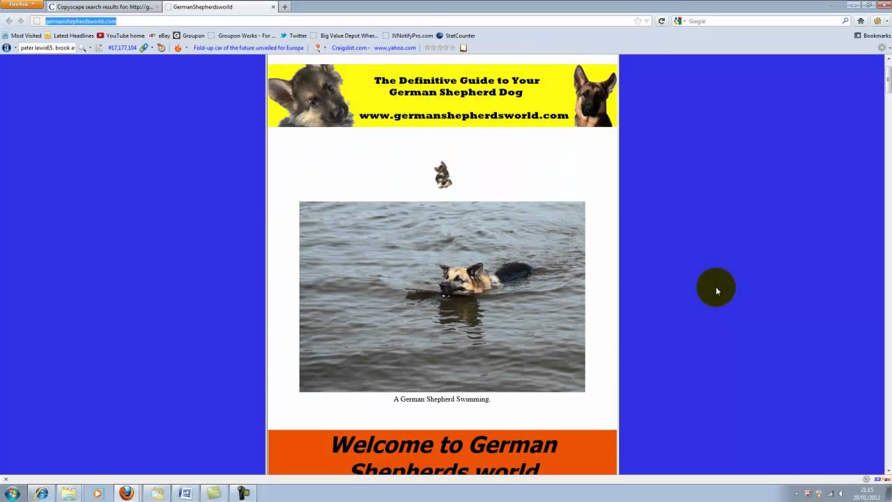 Beginners Niche Hunting Tips And Website SEO Checks