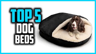 ✅Top 5 Best Dog Beds for Chihuahuas in 2024 by PetLabs 22 views 3 weeks ago 5 minutes, 8 seconds