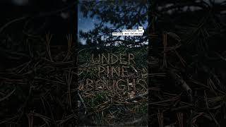 Study with me and use your best backsound music with forest and folk theme slow beat #relaxingmusic