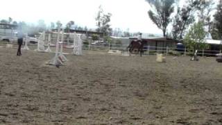 MOV09264