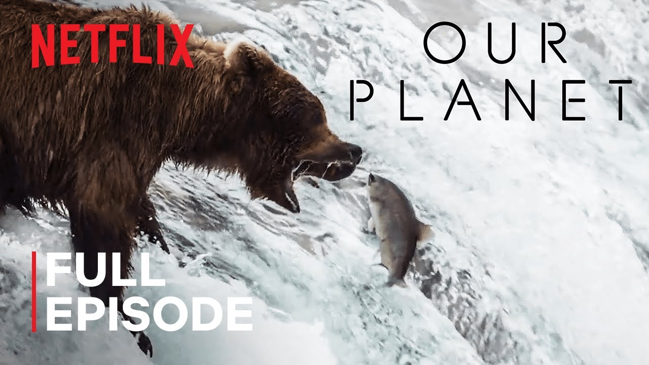 Our Planet  Fresh Water  FULL EPISODE  Netflix