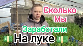 Сколько денег заработали на рынке продавая лук