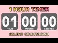 1 Hour (60 Minute) Timer ⏰ | Big Numbers, Silent Countdown, Confetti Blast & Loud Finish Alarm! 🎉