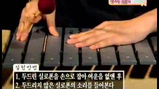 스펀지 - Sponge 20050625 #002