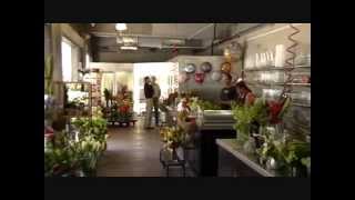 Welcome To Allen s Flowers Plants