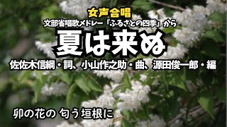 卯の花が咲く頃 風の小径