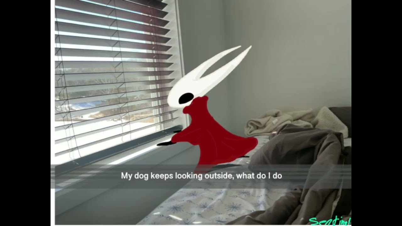 silksong memes that deal two masks of damage (stolen of course)