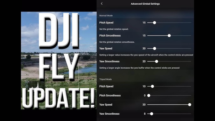 dji mavic mini gimbal settings