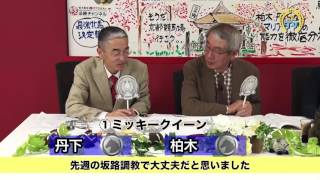 マリアライトにもミッキーにも「金」は上がらず!? 出走全馬をジャッジ！(一部公開版) (後編)