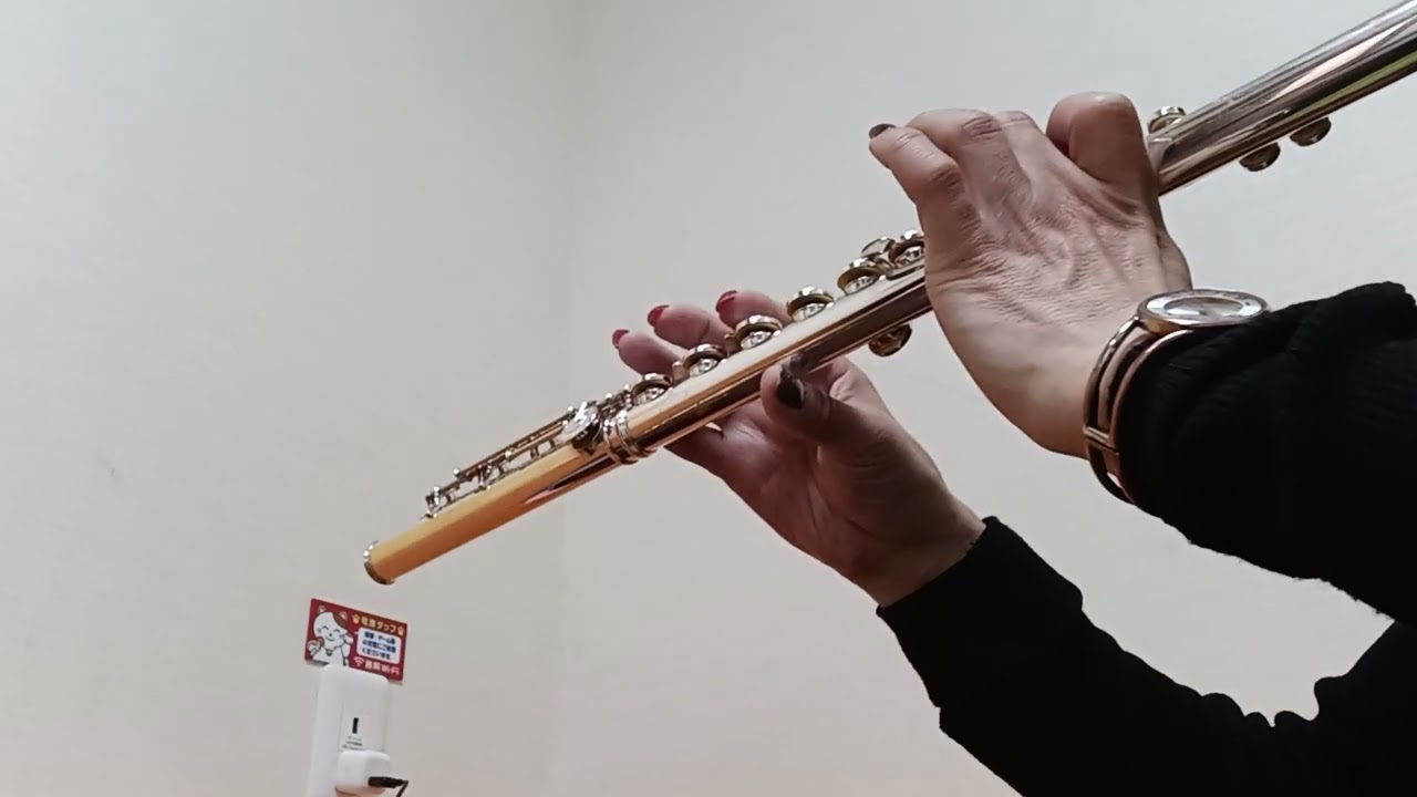 Fly Me to the Moon　Francis Albert "Frank" Sinatra　ジャズ　フルートで吹いてみました。