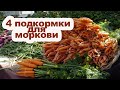 Чем подкормить морковь, чтобы была крупной и сладкой.