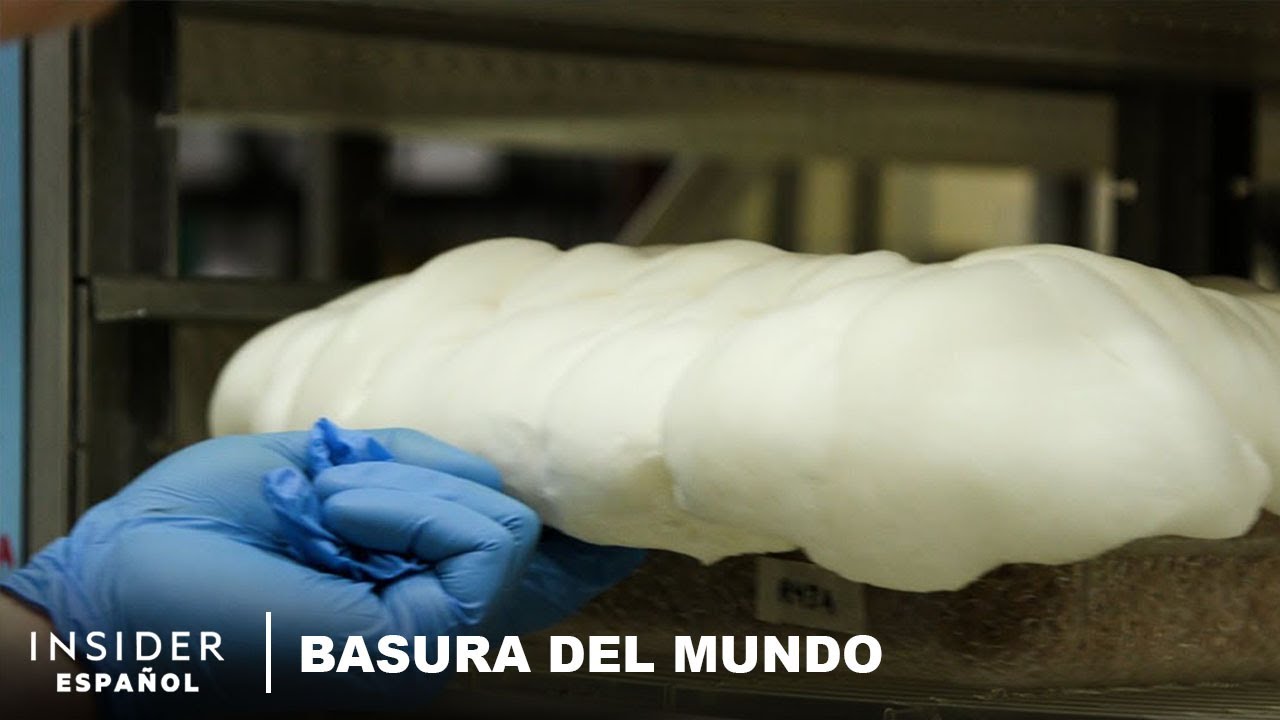 El uso de hongos para crear tocino y poliestireno | Basura del mundo