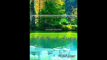 سوره ی لقمان آیه ی ۳۴/خداوند همه چیز را میداند...