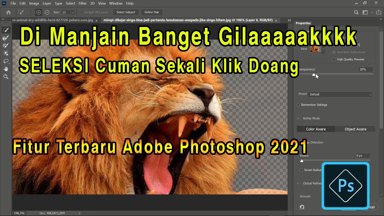 FITUR TERBARU ADOBE PHOTSHOP 2021 EDIT LEBIH MUDAH DI ADOBE PHOTOSHOP 2021