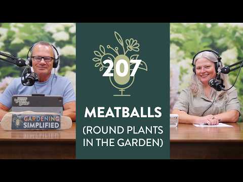 Well-Rounded | Spherical Plants for the Garden