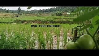 SAWAH SALATRI PURWAKARTA | CINEMATIC