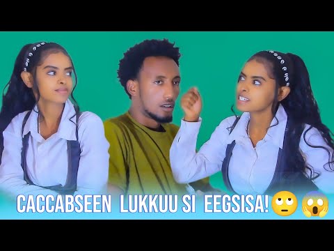 CACCABSEEN LUKKUU SI EEGSISA