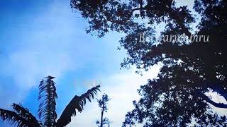 Story WA lagu' Langit biru'