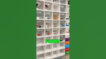 Cheap vs Expensive Betta Fish