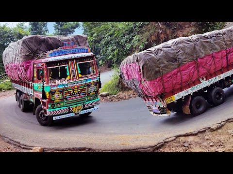 ভিডিও: লরি লঘলিন আবার অভিনয় করতে পারেন?