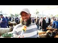 رحبة السعي باجة بوابة الشمال الغربي و هي بلاش الباب الفلاح و التجار يتشكو برشا منها 