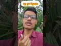 ଦ ବ ନ ମର ନ ବ କ ମ DEBA NAMARE NEBA KAMA Munu Mana Ru Pade Shortsfunny Funny Shortsvideo 