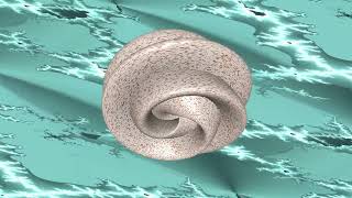 Twisted Torus