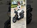 Honda Zoomer, Motor Gemas yang Langka di Indonesia‼️#hondazoomer #modifikasimotor #shortvideo