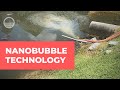 Control algae with nanobubble technology