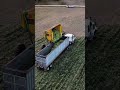 Best Machine Ever? Watch This Corn Harvester Work #farming #agriculture #farmer #harvester #shorts