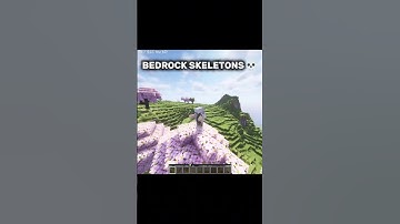 JAVA vs BEDROCK SKELETONS 💀 #minecraft